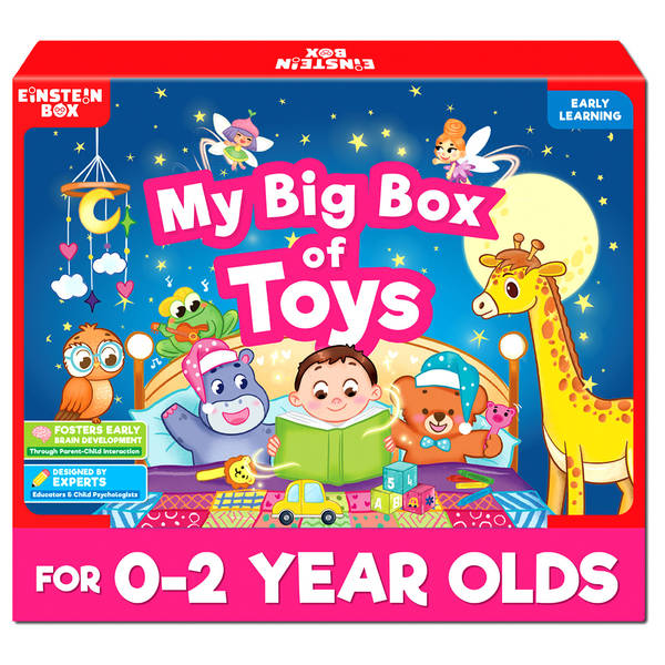 Early Learning Toy Box For Babies - 0 to 12 Months