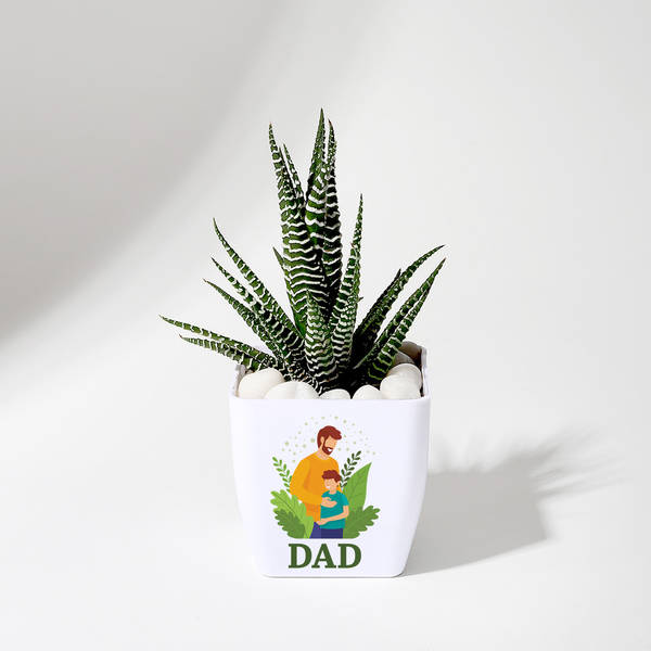 Father's Day Haworthia Plant In Blossom Planter