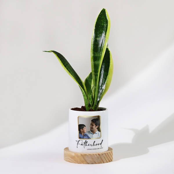 Father's Day Personalized Snake Plant With Pot