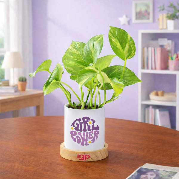 Girl Power Women's Day Money Plant Gift