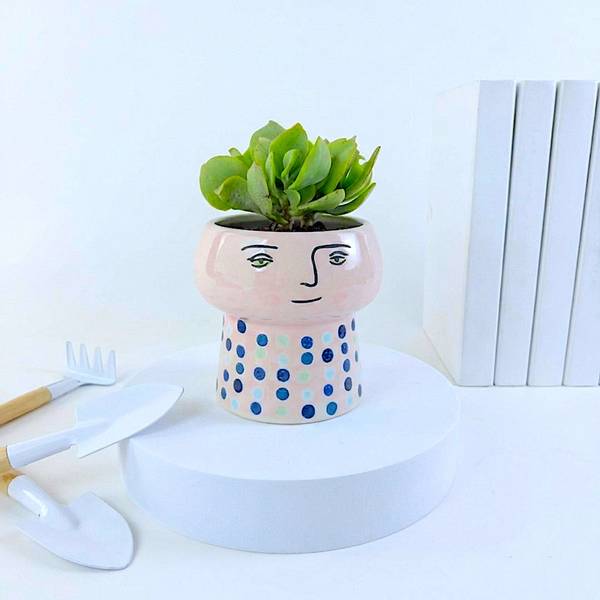 Glazed Face Planter With Ripple Jade Succulent