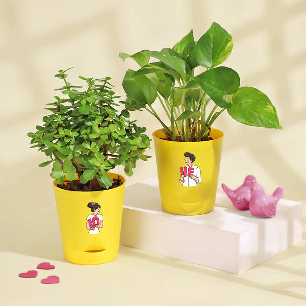 Good Luck Green Love Combo