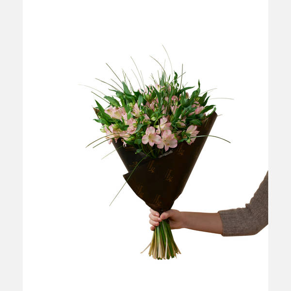 Gorgeous Pink Alstromeria 242634