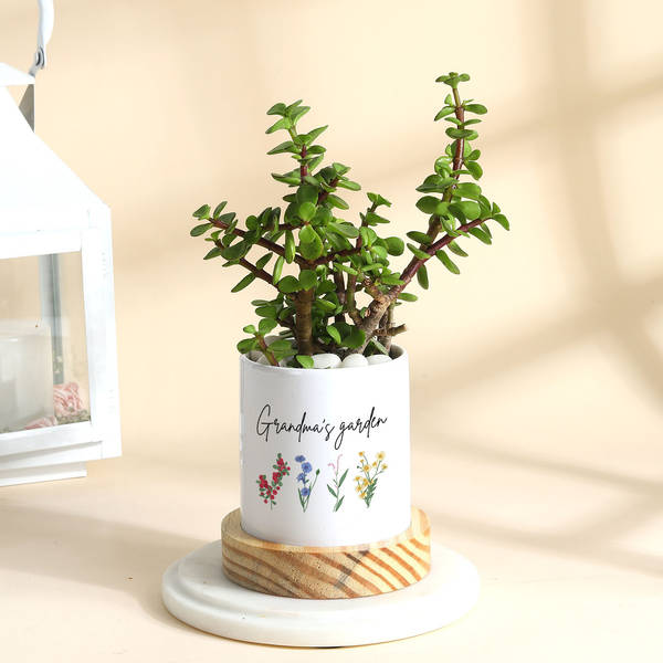 Grandma's Garden Spectacle