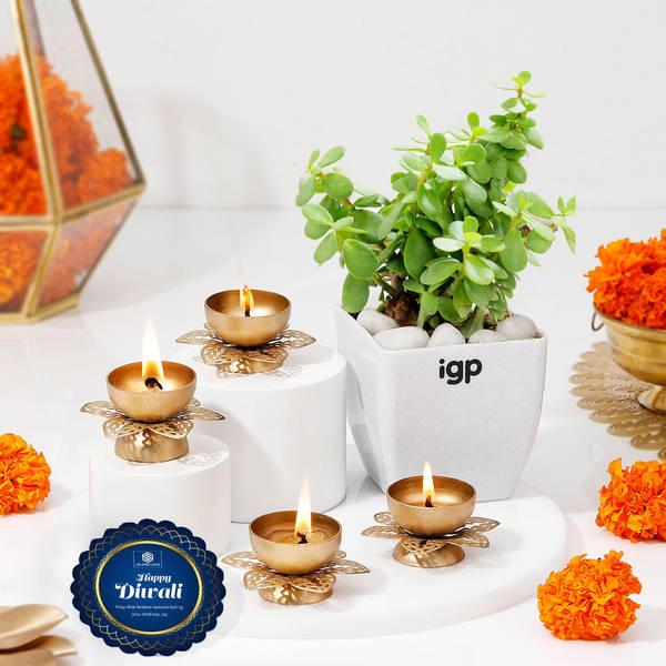 Growth And Glow Diwali Combo