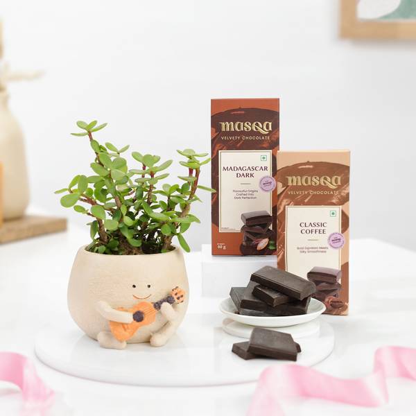 Jade Plant And Chocolates Combo