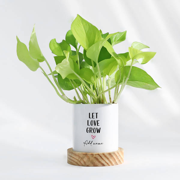 Let Love Grow - Money Plant - Personalized