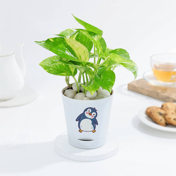Lovely Money Plant In Self-Watering Penguin Planter