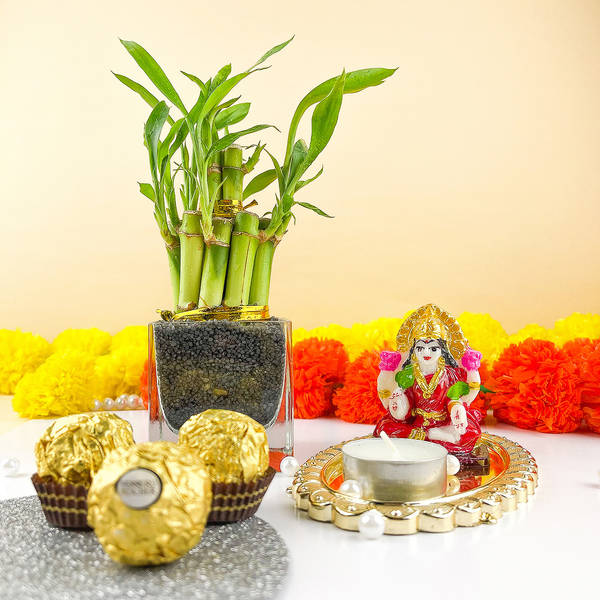 Lucky Bamboo Diwali Hamper