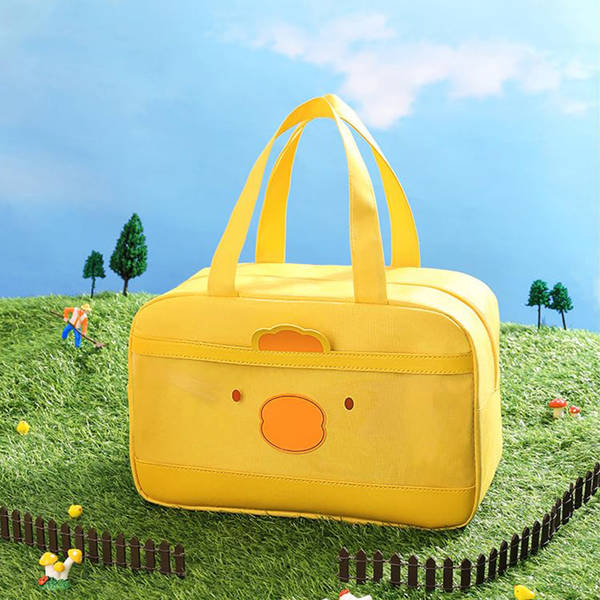 Lunch Bag With Transparent Front Pocket - Assorted - Single Piece