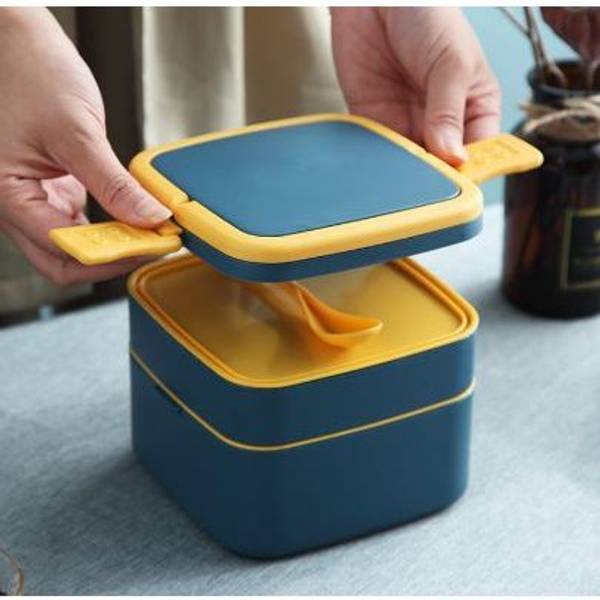 Lunch Box - 2 Layer - Handle - Single Piece