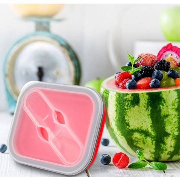 Lunch Box - Foldable