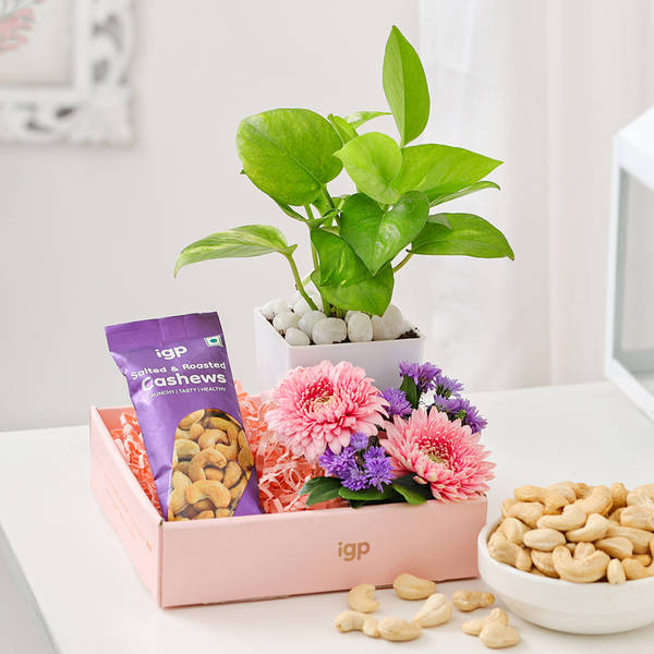 Mother's Day Blossoming Paradise