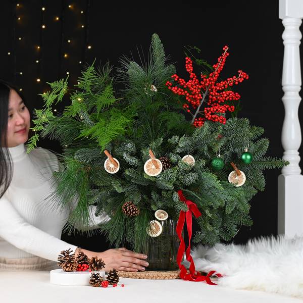 Nature's Christmas Cluster