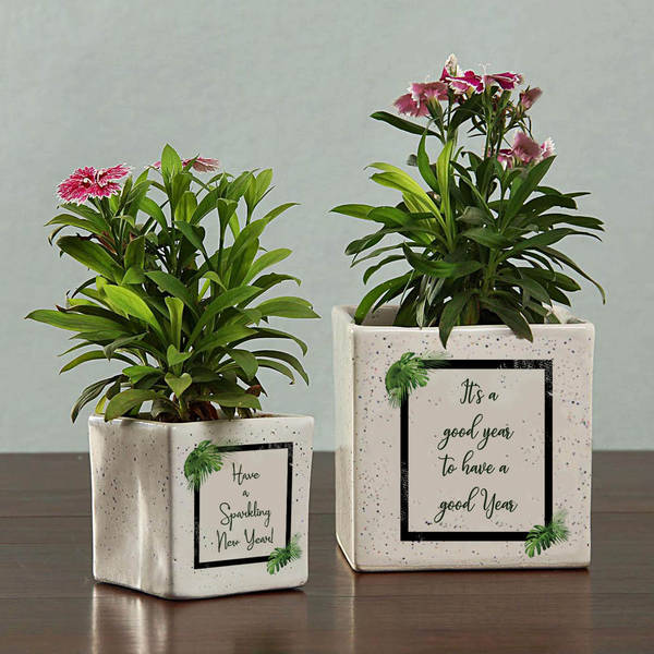 New Year Ceramic Planters