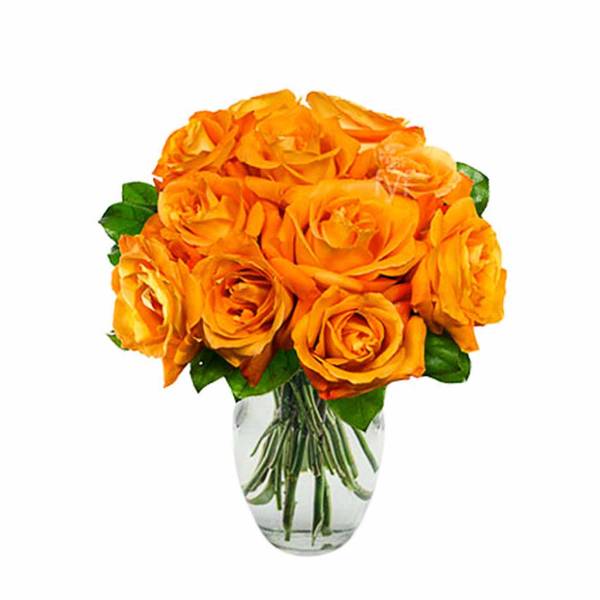 One Dozen Orange Roses