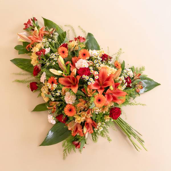 Orange astral travel