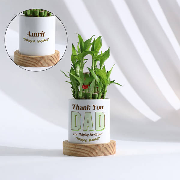Personalized Father's Day Bamboo Plant With Ceramic Planter