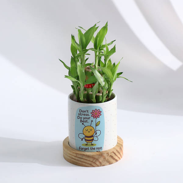 Personalized Positivity Planter With Bamboo Plant