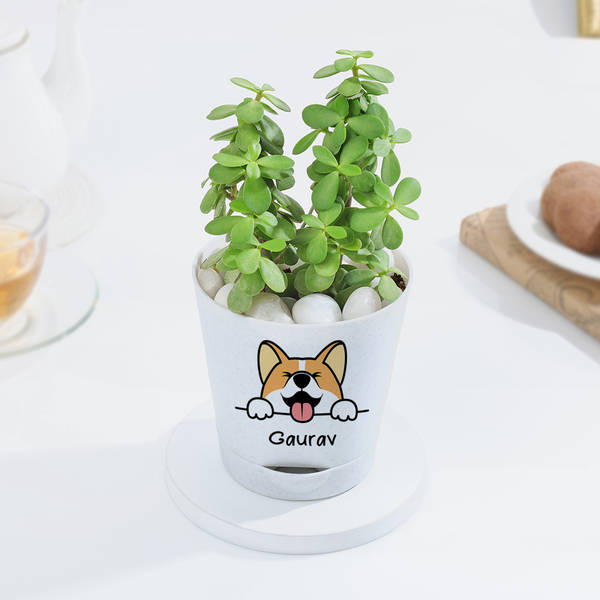 Personalized Self-Watering Dog Planter With Jade Plant