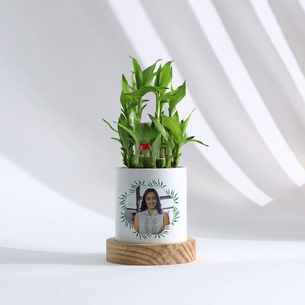 Personalized Women's Day Bamboo Plant With Planter