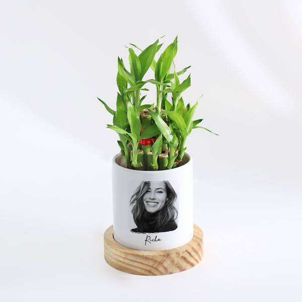 Photographic Memories - 2-Layer Bamboo Plant With Pot - Personalized