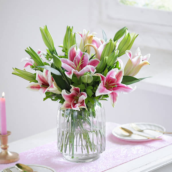 Pink Lily Love