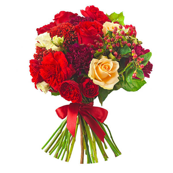 Premium Collection I