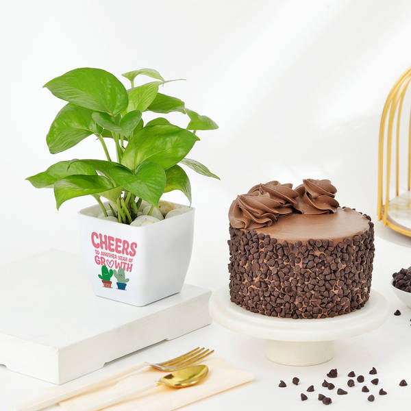 Prosperous Celebrations Combo