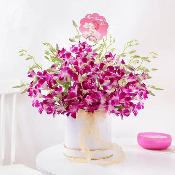 Purple Orchid Elegance For Women's Day
