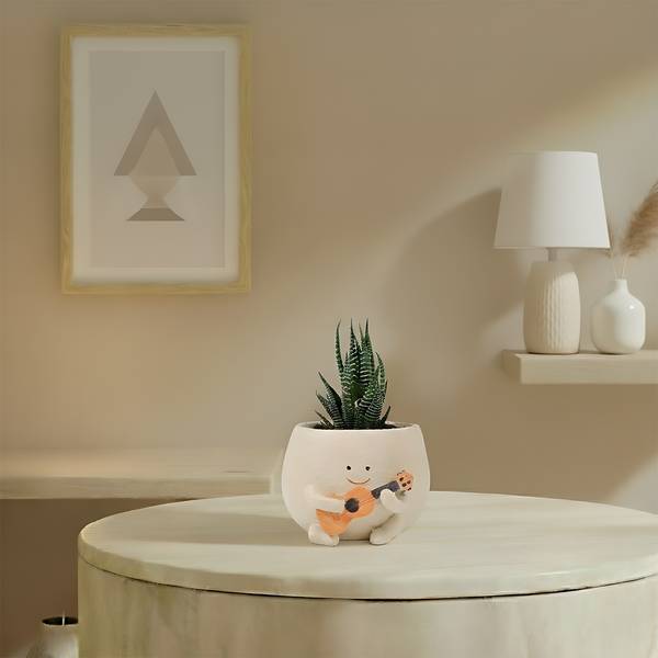 Rocking Zebra Succulent In Guitar Buddy Pot