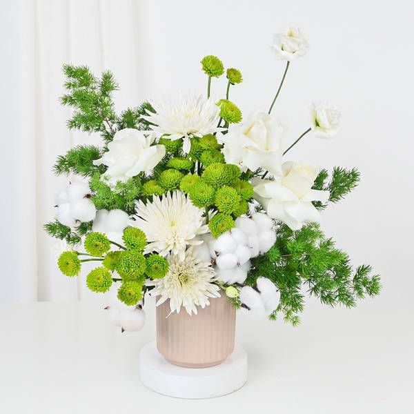 Serene White Blooms In Striped Ceramic Planter
