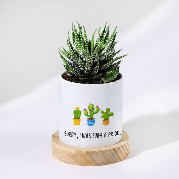Sorry I Was A Prick - Haworthia Succulent With Personalized Pot