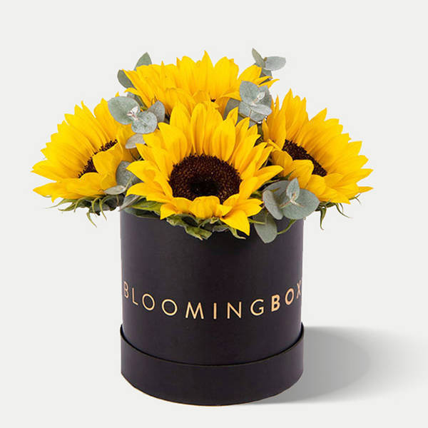 Sunflower Box Small