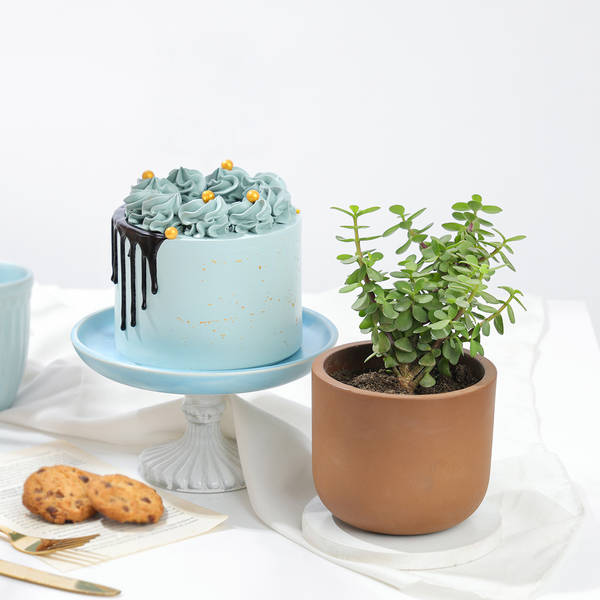 Sweet Prosperity Gift Combo