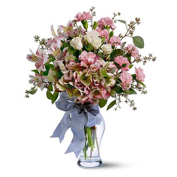 Sympathy Collection II