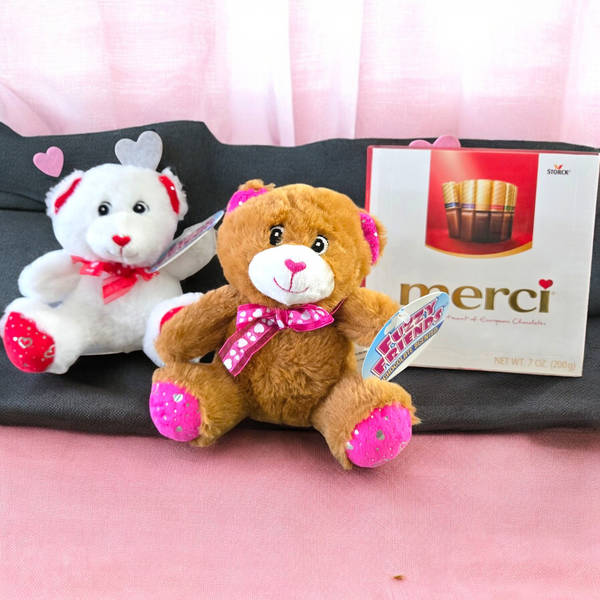 Teddy And Chocolate Bliss Combo