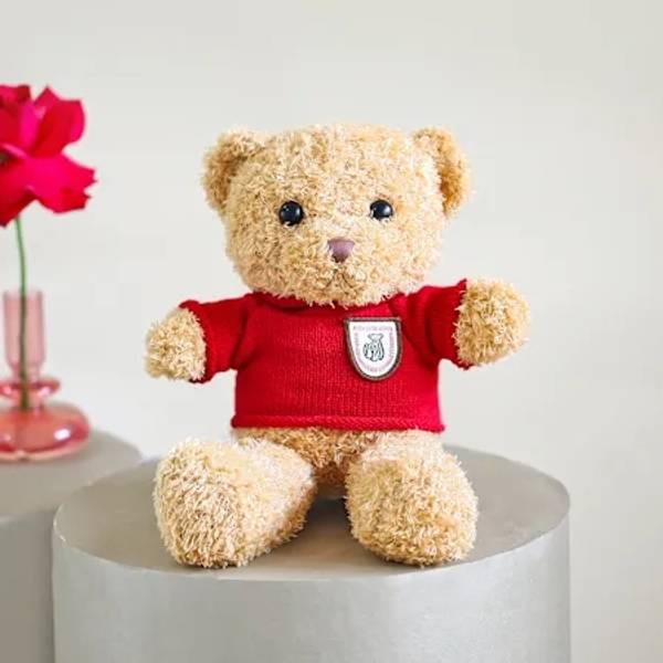 Teddy Bear 12 inches