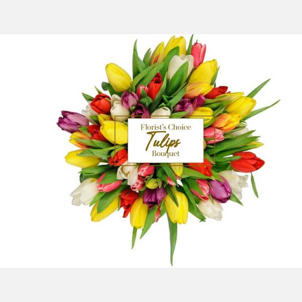 Tulips Florist Choice Bouquet