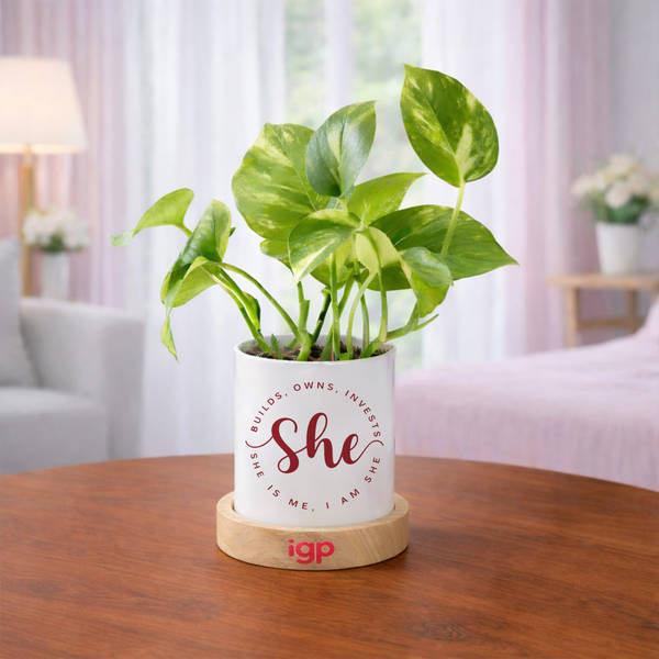 Women's Day She Thrives Money Plant