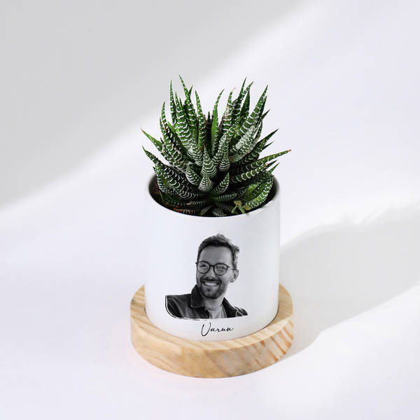 Zebra Succulent Personalized With Ceramic Planter