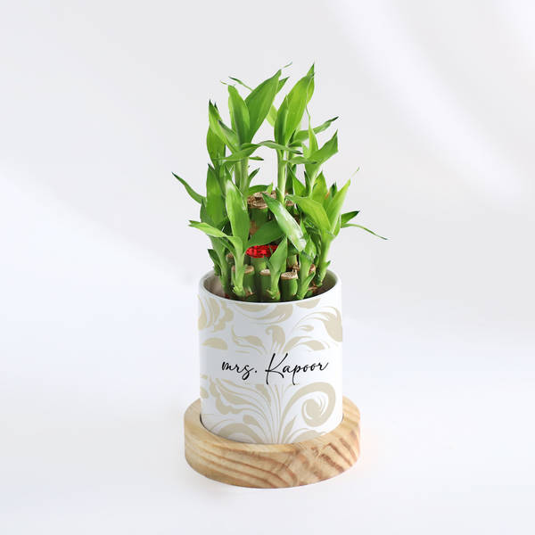 Zen Oasis - 2-Layer Bamboo Plant With Pot - Personalized
