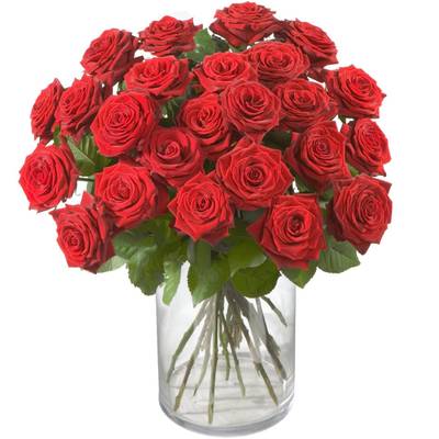 E P Roses Buy/Send Red Roses Classics Online | IGP | NID1320849