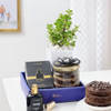 Scented Serenity And Sweetness Hamper