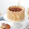 Tiramisu Cream Cake (500 gm)