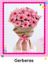 Gerberas Flowers Online